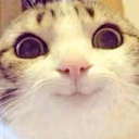 CE_Smile2 emote