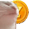 CatZG emote
