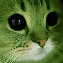 morp emote