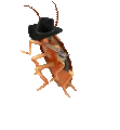 CowboyRoach emote