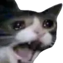 137_CatScream emote