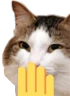 kiisu_giggle emote