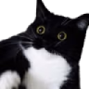 boobsScared emote