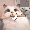 CatFlute emote