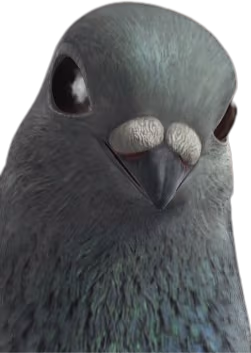 Pignonfull emote