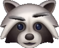 Dubious_raccoon emote