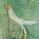Chokn emote