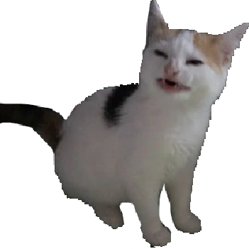 no_like_cat emote