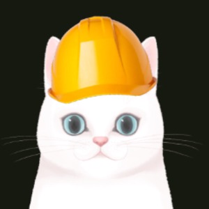 construction_steve avatar