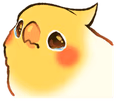 birbsad emote