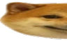 doge1 emote