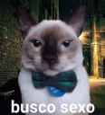 buscoSexo emote