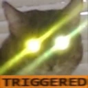 CE_CattoTriggered3 emote
