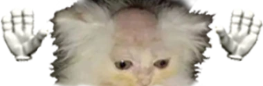 BagelCaught emote