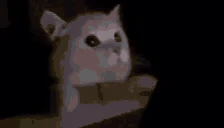 FLASHBANG emote