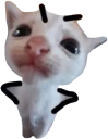 uwotm8 static emote