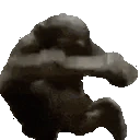 Madge emote