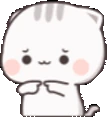 ShyCat emote