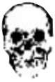 skulle emote