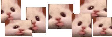 blatter emote