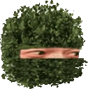 ScavBUSH emote