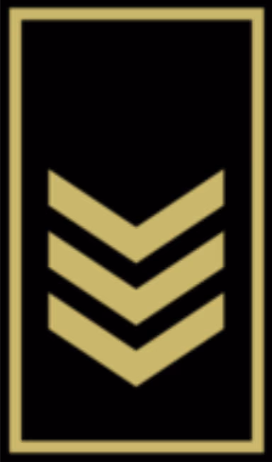 sotsinspector emote