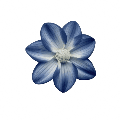 blue_flower static emote