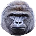 Harambe emote