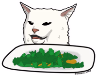 SaladCat emote