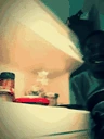 FRIDGE emote