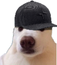 cap static emote