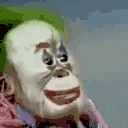ClownMonkey emote