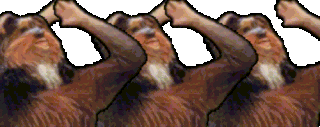 LETSGOBB animated emote