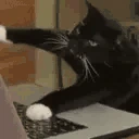 catChat emote