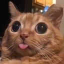 CE_Blep5 emoji