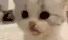 Delicious emote