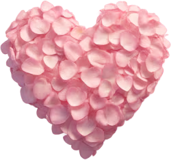 Pinkflowerheart emote