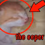 eeper emote