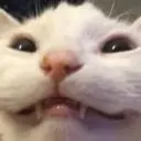 CE_Smile3 emote