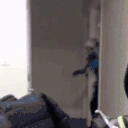 WATCHTHIS emote