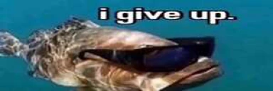 fish3 emote