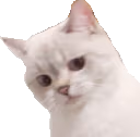 NanaNope emote