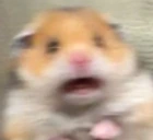 ahhh emote
