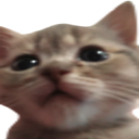 umm static emote