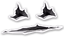 knifeface_valorant emote