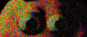 sexom emote