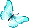 light_blue_butterfly emote
