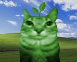 earth emote