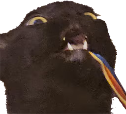 jetmoto emote