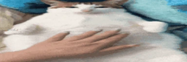 UncBellay emote